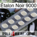 Étalon Noir 9000 08